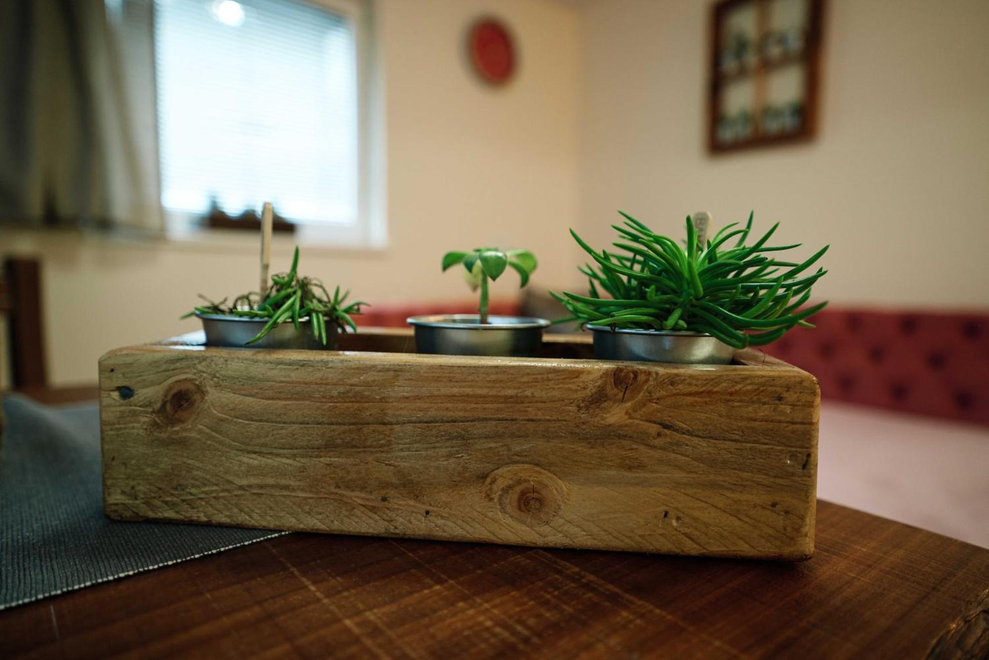 Apartment Hanny Laško Kültér fotó